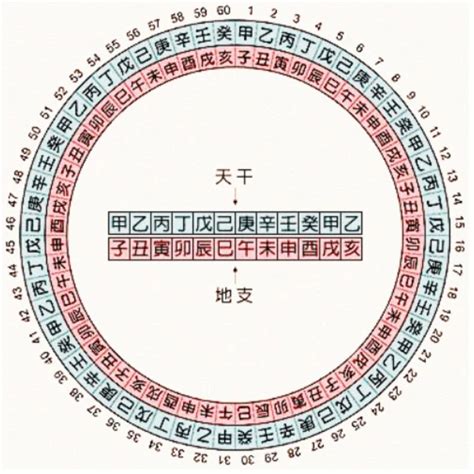 2007天干地支|天干属性 干支纪年对照表